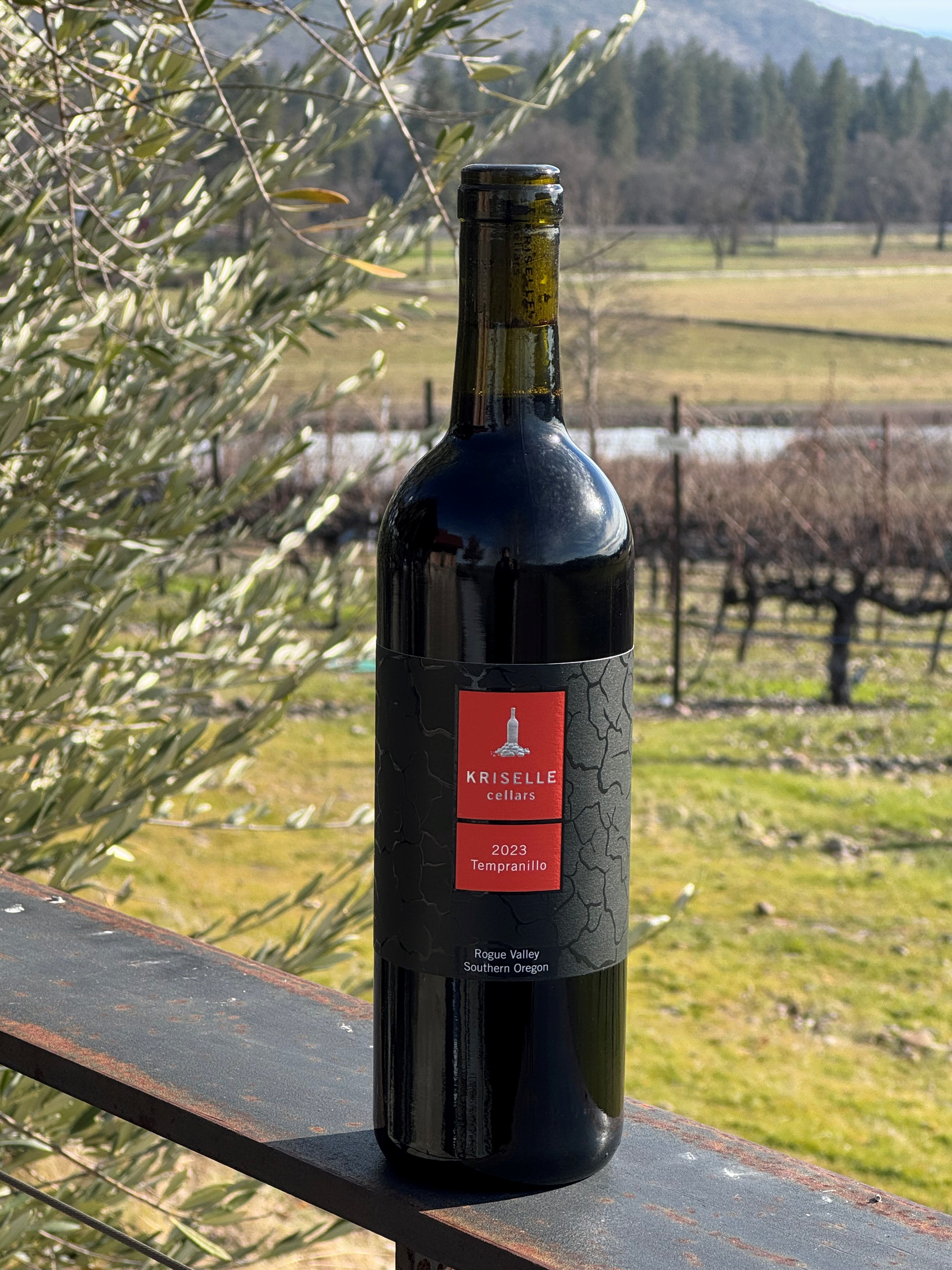 Product Image for 2023 Tempranillo 